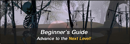 Beginner's Guide